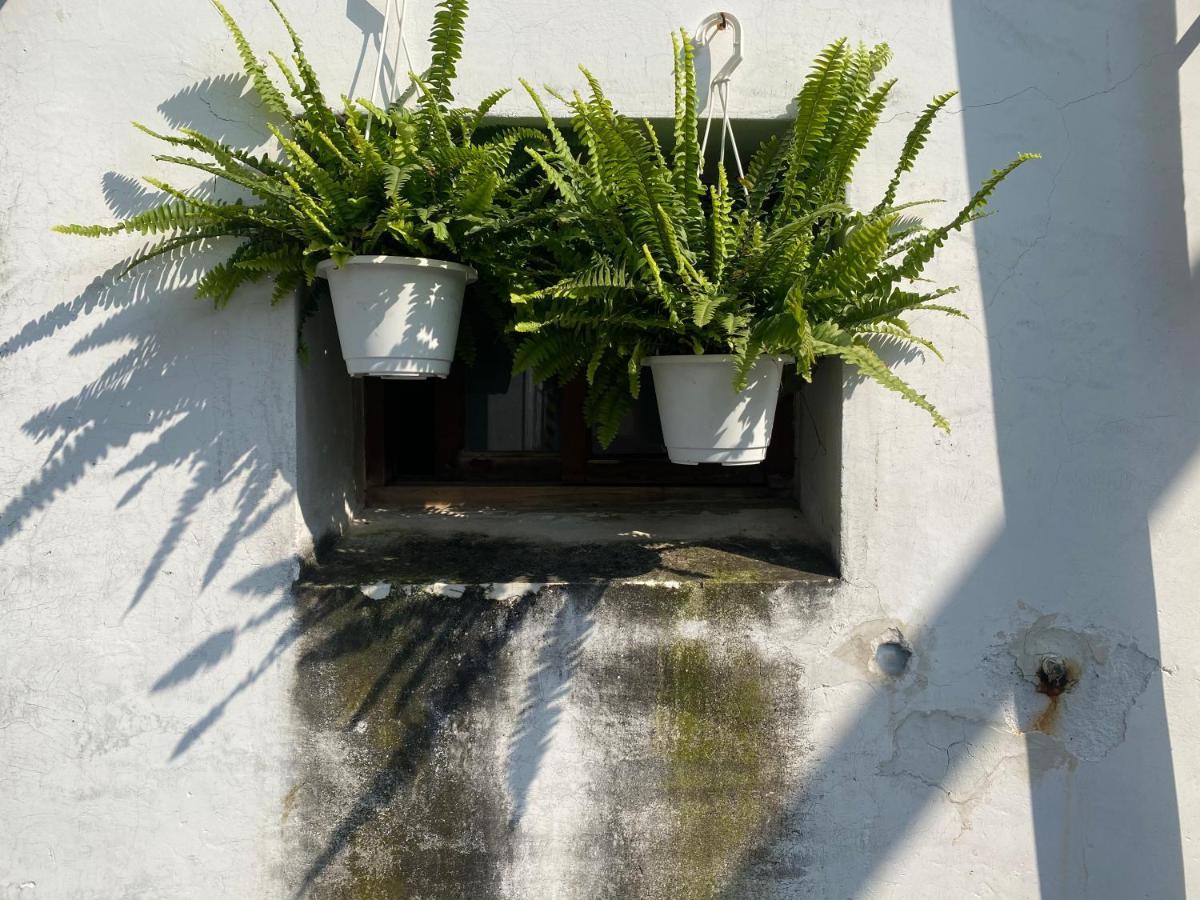 緩緩歸 Slow Living Ταϊνάν Εξωτερικό φωτογραφία
